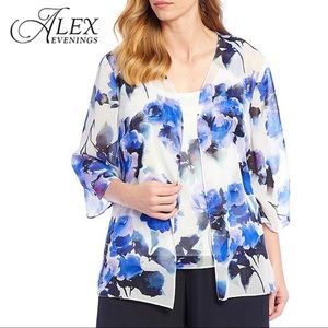 NWT  PLUS Alex Evenings Chiffon Twin Set